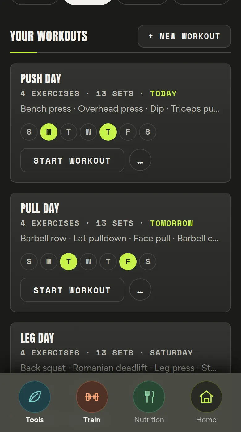 The Workouts tab: push, pull and leg day saved, each showing its exercises and the days of the week it is scheduled for.